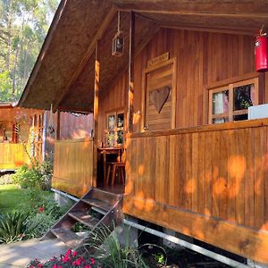One-Bedroom Bungalow